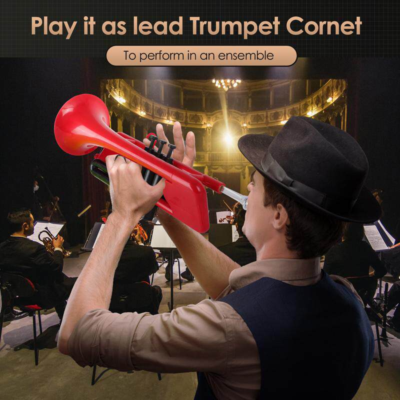 Cornet B Flat Wind Instrument  - đánh giá và giá Musical Instrument Cornet