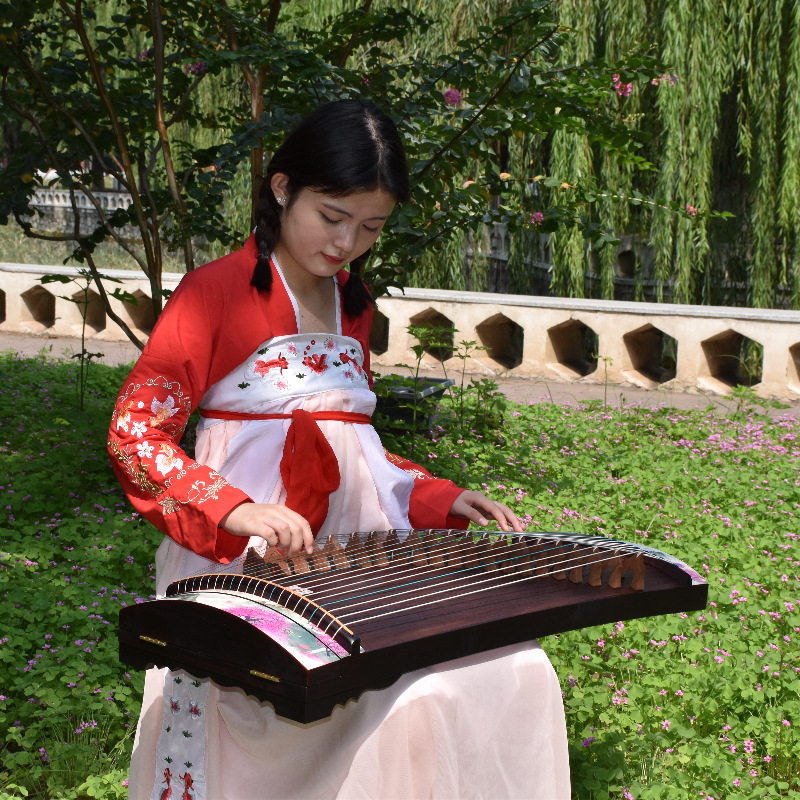 100cm stringed Mini Guzheng Co - đánh giá và giá Musical Instrument Guzheng