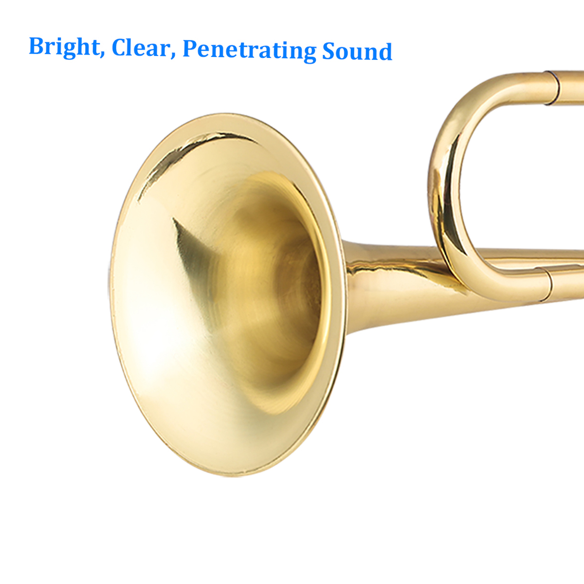 Brass C Bugle Call Gold-Plated - đánh giá và giá Musical Instrument Cornet