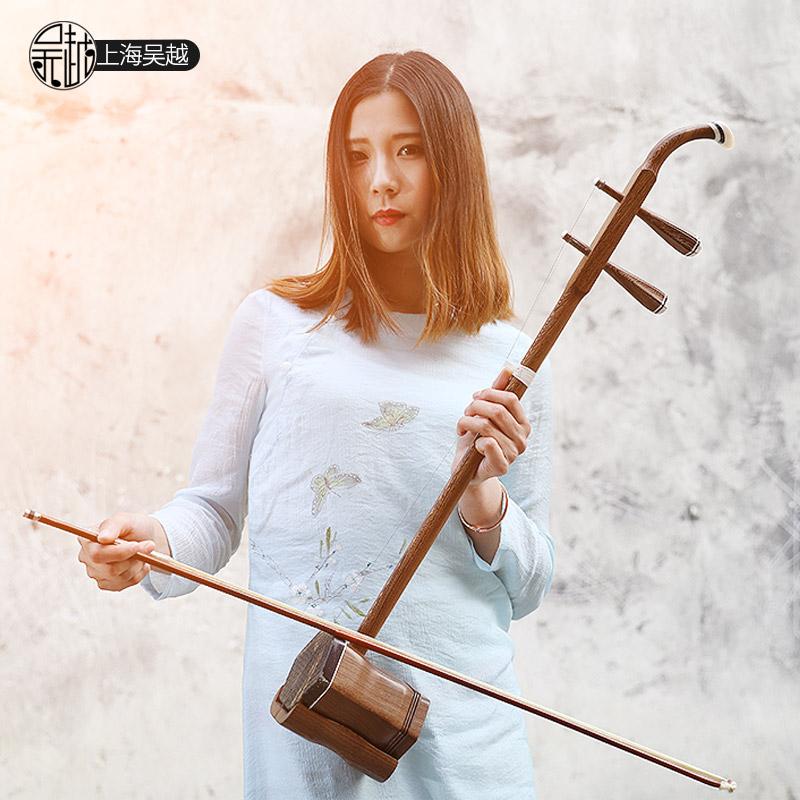 Chinese Folk String Instrument - đánh giá và giá Musical Instrument Book