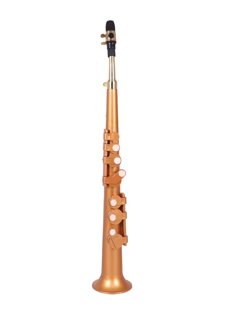 Saxophone Littlesax Pocket Sax - đánh giá và giá Musical Instrument Reed